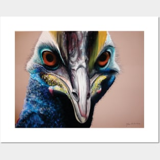 cassowary Posters and Art